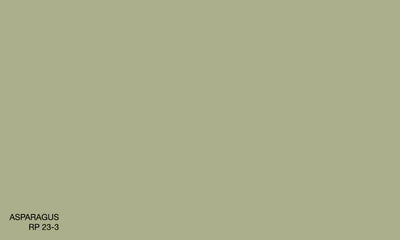 ASPARAGUS RP 23-3 (R.COAT)