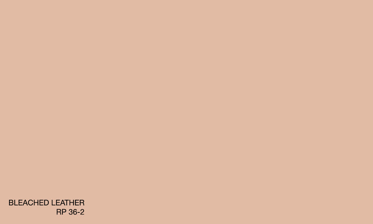 BLEACHED LEATHER RP 36-2 (R.ANTISMELL)