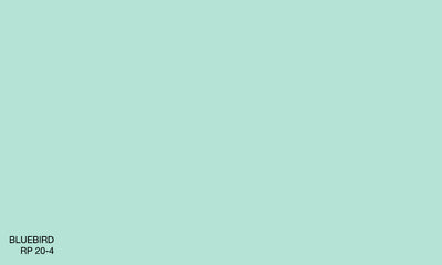 BLUEBIRD RP 20-4 (R.ANTISMELL)