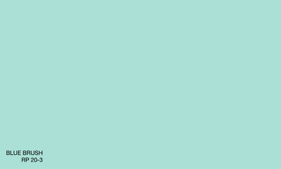 BLUE BRUSH RP 20-3 (R.ANTISMELL)