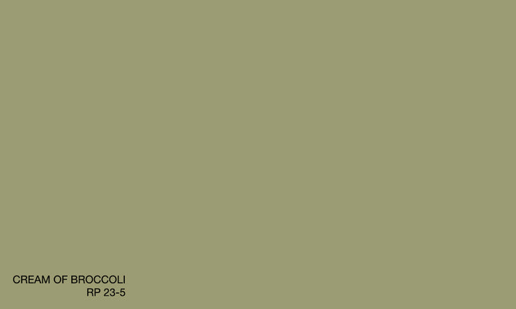 CREAM OF BROCOLLI RP 23-5 (R.ONE EXTERIOR)