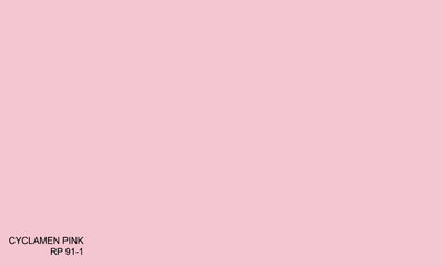 CYCLAMEN PINK RP 91-1 (R.ANTISMELL)