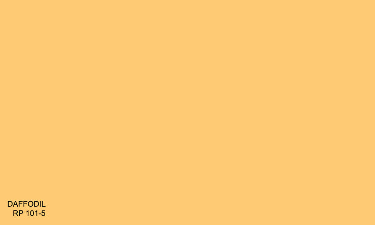 DAFFODIL RP 101-5 (R.COAT)