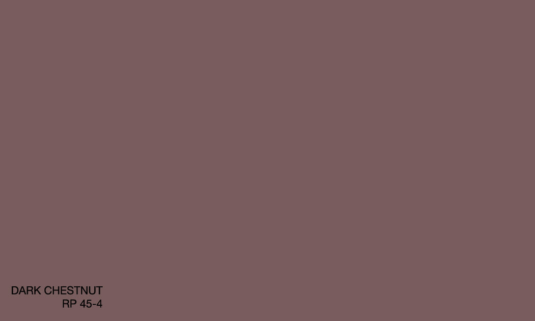 DARK CHESTNUT RP 45-4 R.WASH – Raffles Paint Pte Ltd