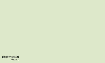 DIMITRY GREEN RP 22-1 (R.ANTISMELL)