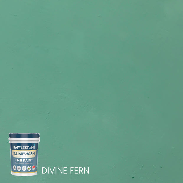 R.LIMEWASH (Natural Slaked Limewash Paint)