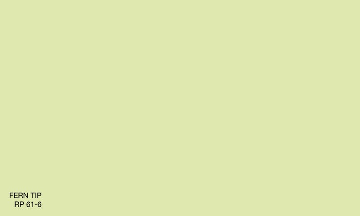 FERN TIP RP 61-6 (R.ANTISMELL)