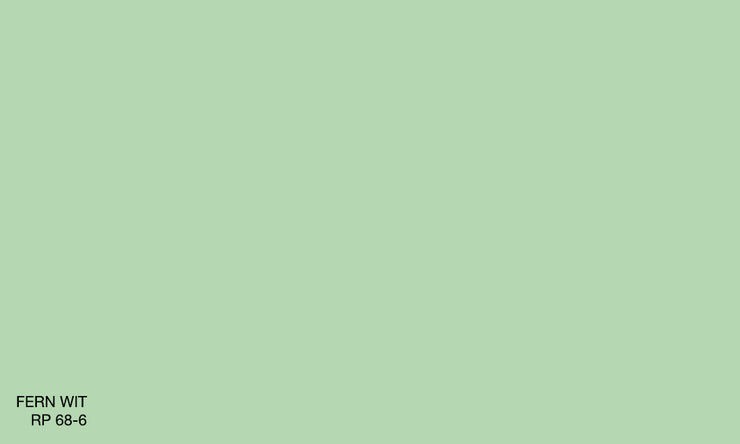 FERN WIT RP 68-6 (R.ANTISMELL)