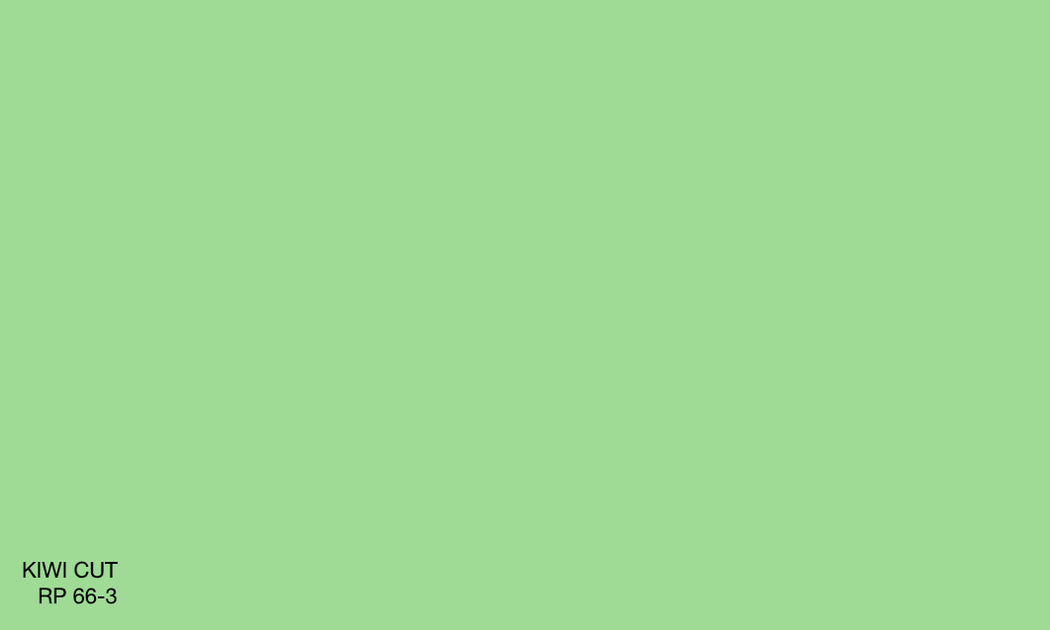 KIWI CUT RP 66-3 (R.WASH) – Raffles Paint Pte Ltd