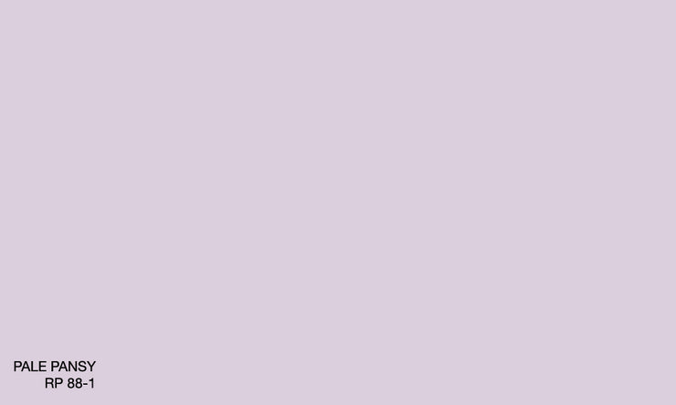 PALE PANSY RP 88-1 (R.COAT)