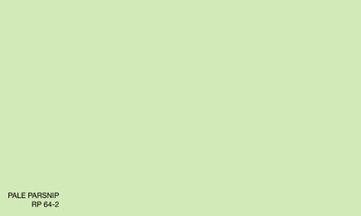 PALE PARSNIP RP 64-2 (R.ANTISMELL)