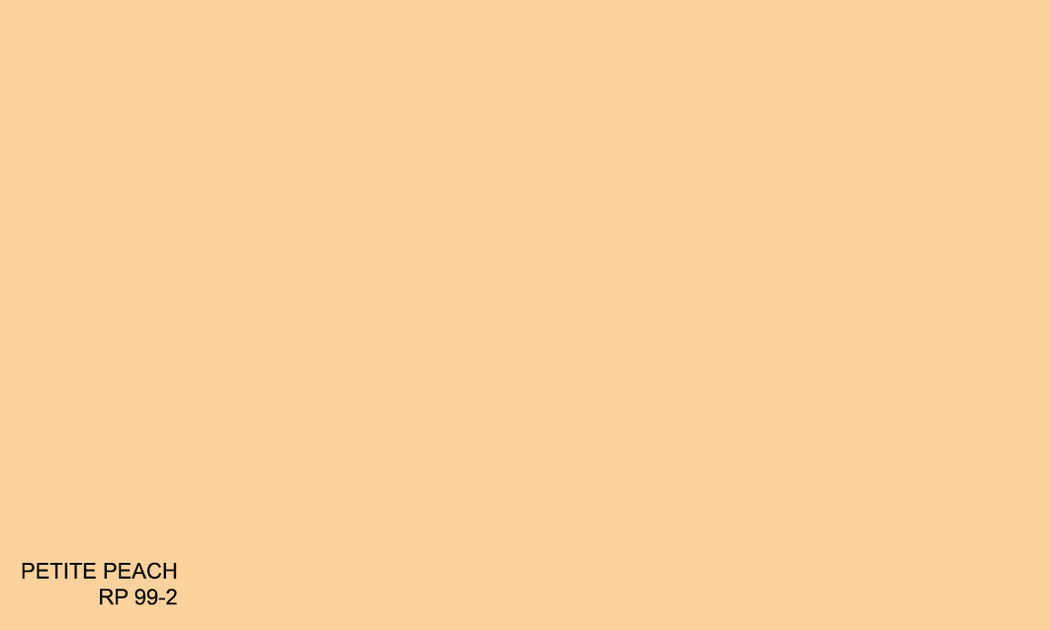 PETITE PEACH RP 99-2 R.One Exterior – Raffles Paint Pte Ltd