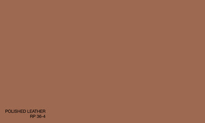POLISHED LEATHER RP 36-4 (R.COAT)