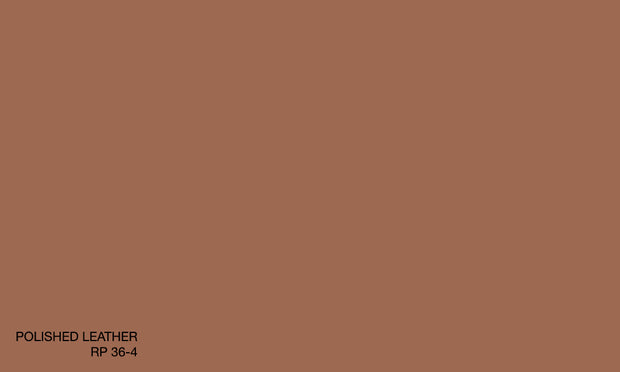 POLISHED LEATHER RP 36-4 (R.COAT)