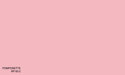 POMPONETTE RP 93-2 (R.ANTISMELL)