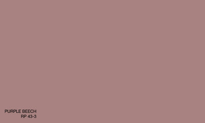 PURPLE BEECH RP 43-3 (R.WASH)