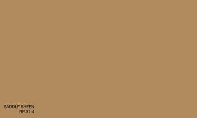 SADDLE SHEEN RP 31-4 (R.COAT)
