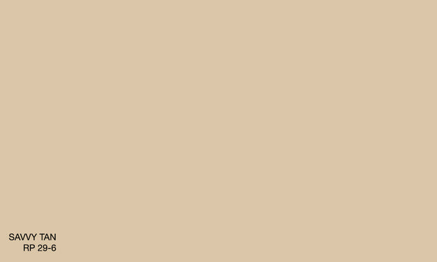 SAVVY TAN RP 29-6 (R.ANTISMELL)