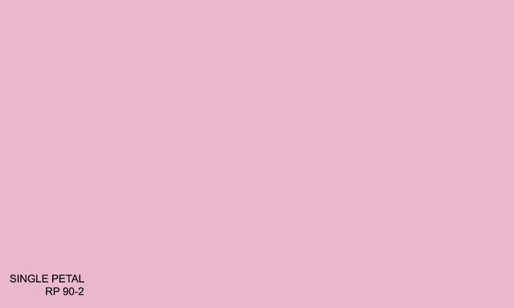 SINGLE PETAL RP 90-2 (R.AQUA)