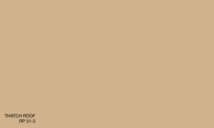 THATCH ROOF RP 31-3 (R.ONE)