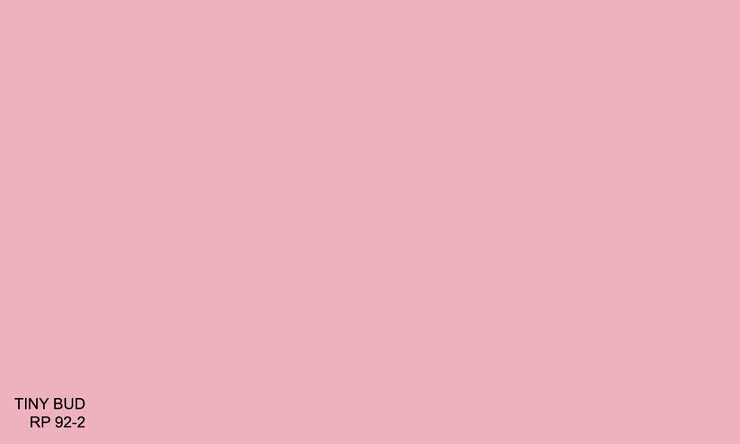 TINY BUD RP 92-2 (R.WASH)