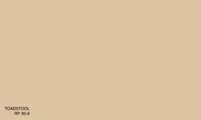 TOADSTOOL RP 30-6 (R.ANTISMELL)