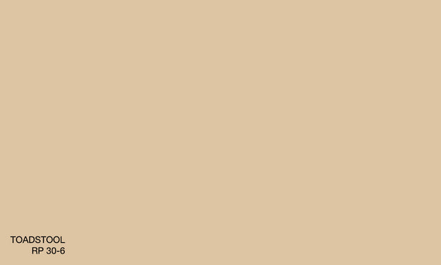 TOADSTOOL RP 30-6 (R.ANTISMELL)