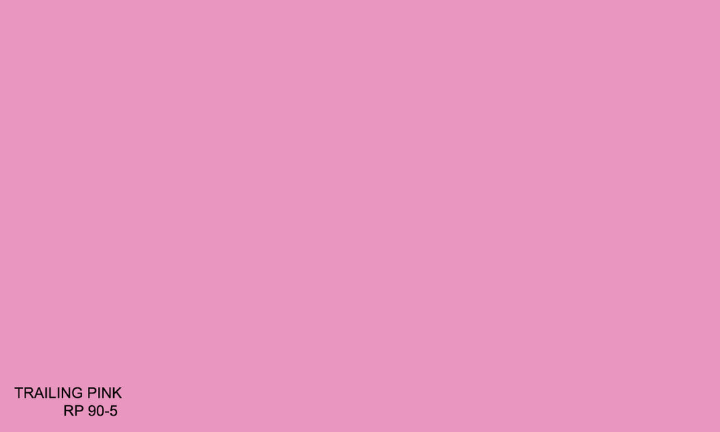 Pink Rp 10 TRAILING PINK RP 90-5 R.One Exterior – Raffles Paint Pte Ltd