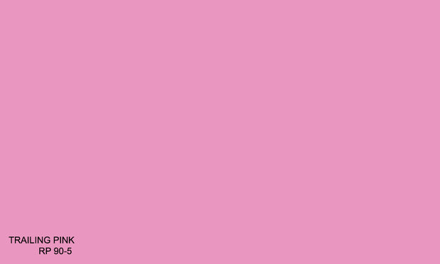 Pink Rp 10 TRAILING PINK RP 90-5 (R.WEATHER) – Raffles Paint Pte Ltd