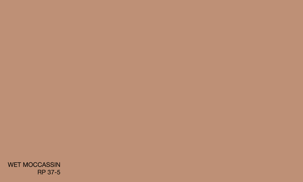 WET MOCCASSIN RP 37-5 R.One Exterior – Raffles Paint Pte Ltd