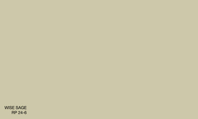 WISE SAGE RP 24-6 (R.ANTISMELL)