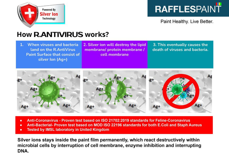 DAISY WHITE RP1-6 (R.ANTIVIRUS)
