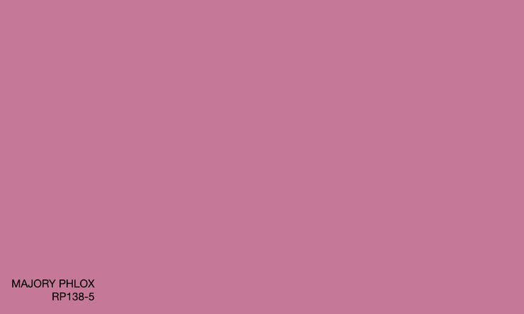 MAJORY PHLOX RP138-5 (R.ONE)