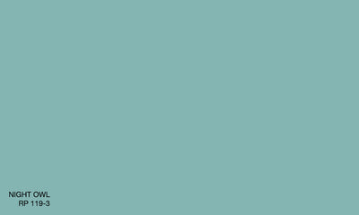 NIGHT OWL RP 119-3 (R.AQUA)